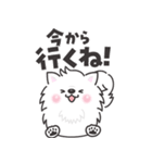白くてふわふわのわんこ（待ち合わせ）（個別スタンプ：10）
