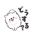 白くてふわふわのわんこ（待ち合わせ）（個別スタンプ：11）