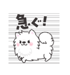 白くてふわふわのわんこ（待ち合わせ）（個別スタンプ：13）
