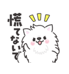 白くてふわふわのわんこ（待ち合わせ）（個別スタンプ：18）