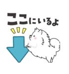 白くてふわふわのわんこ（待ち合わせ）（個別スタンプ：22）