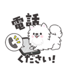 白くてふわふわのわんこ（待ち合わせ）（個別スタンプ：24）