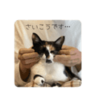 くろみけみずな（個別スタンプ：30）