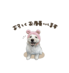 スフレちゃん♡ねねちゃんスタンダード（個別スタンプ：3）
