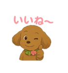 うちの愛犬ぴこ（個別スタンプ：1）