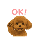 うちの愛犬ぴこ（個別スタンプ：4）