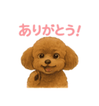 うちの愛犬ぴこ（個別スタンプ：7）