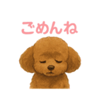 うちの愛犬ぴこ（個別スタンプ：8）