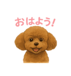うちの愛犬ぴこ（個別スタンプ：9）