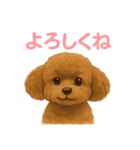 うちの愛犬ぴこ（個別スタンプ：11）