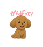 うちの愛犬ぴこ（個別スタンプ：12）