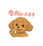 うちの愛犬ぴこ（個別スタンプ：16）