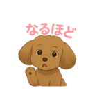 うちの愛犬ぴこ（個別スタンプ：25）