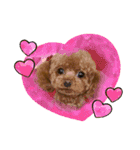 うちの愛犬ぴこ（個別スタンプ：30）