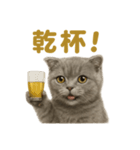 週末だ！スコティッシュホールド猫のご褒美（個別スタンプ：6）