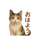 三毛猫のリアルなスタンプ（個別スタンプ：1）