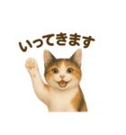 三毛猫のリアルなスタンプ（個別スタンプ：2）