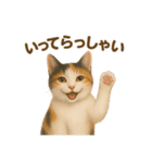 三毛猫のリアルなスタンプ（個別スタンプ：3）