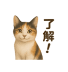 三毛猫のリアルなスタンプ（個別スタンプ：6）