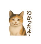 三毛猫のリアルなスタンプ（個別スタンプ：8）