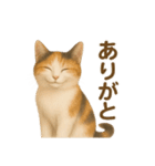 三毛猫のリアルなスタンプ（個別スタンプ：10）