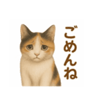三毛猫のリアルなスタンプ（個別スタンプ：11）