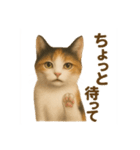 三毛猫のリアルなスタンプ（個別スタンプ：12）