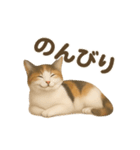 三毛猫のリアルなスタンプ（個別スタンプ：14）