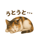 三毛猫のリアルなスタンプ（個別スタンプ：15）