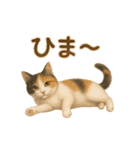 三毛猫のリアルなスタンプ（個別スタンプ：16）