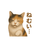三毛猫のリアルなスタンプ（個別スタンプ：18）