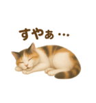 三毛猫のリアルなスタンプ（個別スタンプ：20）