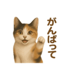 三毛猫のリアルなスタンプ（個別スタンプ：21）