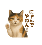 三毛猫のリアルなスタンプ（個別スタンプ：22）