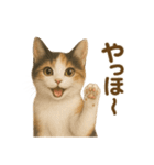 三毛猫のリアルなスタンプ（個別スタンプ：23）