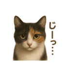 三毛猫のリアルなスタンプ（個別スタンプ：26）