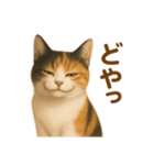 三毛猫のリアルなスタンプ（個別スタンプ：27）