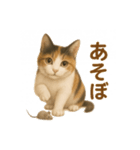 三毛猫のリアルなスタンプ（個別スタンプ：28）