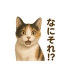 三毛猫のリアルなスタンプ（個別スタンプ：29）