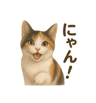 三毛猫のリアルなスタンプ（個別スタンプ：31）