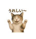 三毛猫のリアルなスタンプ（個別スタンプ：34）