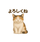 三毛猫のリアルなスタンプ（個別スタンプ：39）