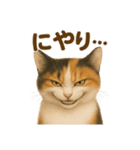 三毛猫のリアルなスタンプ（個別スタンプ：40）