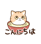 エキゾチック【食事】（個別スタンプ：2）