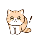 エキゾチック【食事】（個別スタンプ：10）