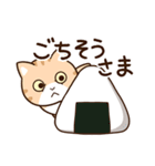 エキゾチック【食事】（個別スタンプ：14）