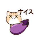 エキゾチック【食事】（個別スタンプ：19）