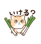 エキゾチック【食事】（個別スタンプ：20）