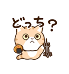 エキゾチック【食事】（個別スタンプ：24）