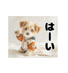子犬衣装スタンプ（個別スタンプ：1）